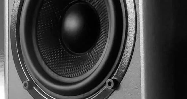 ZX9 Speaker gallery 1